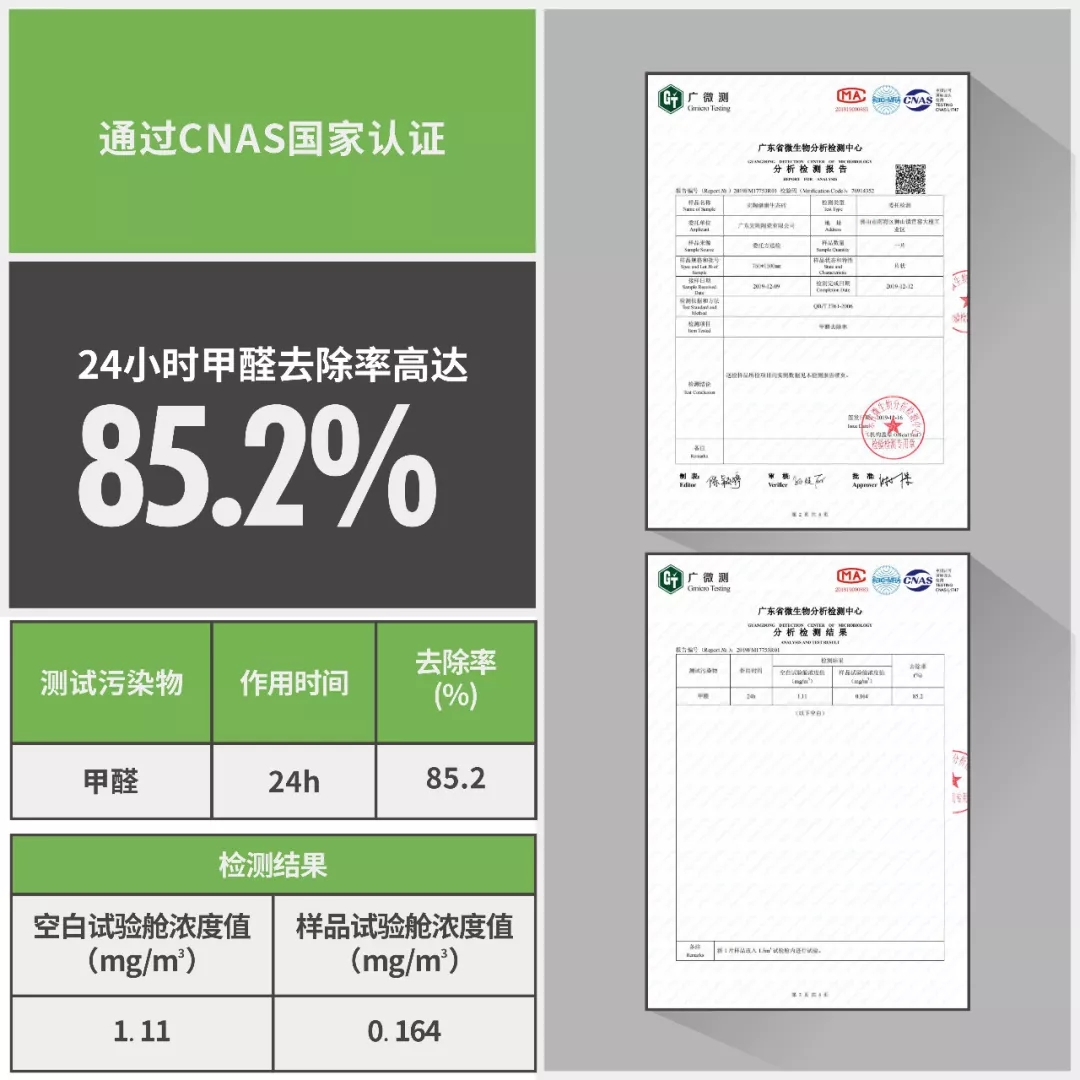 币游安醛手艺甲醛去除率